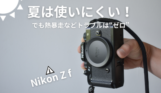 【レビュー】Nikon（ニコン）Zfと過ごした真夏の経験をブログに記そう