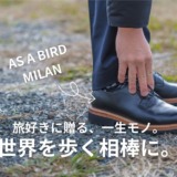 AS A BIRDアイキャッチ