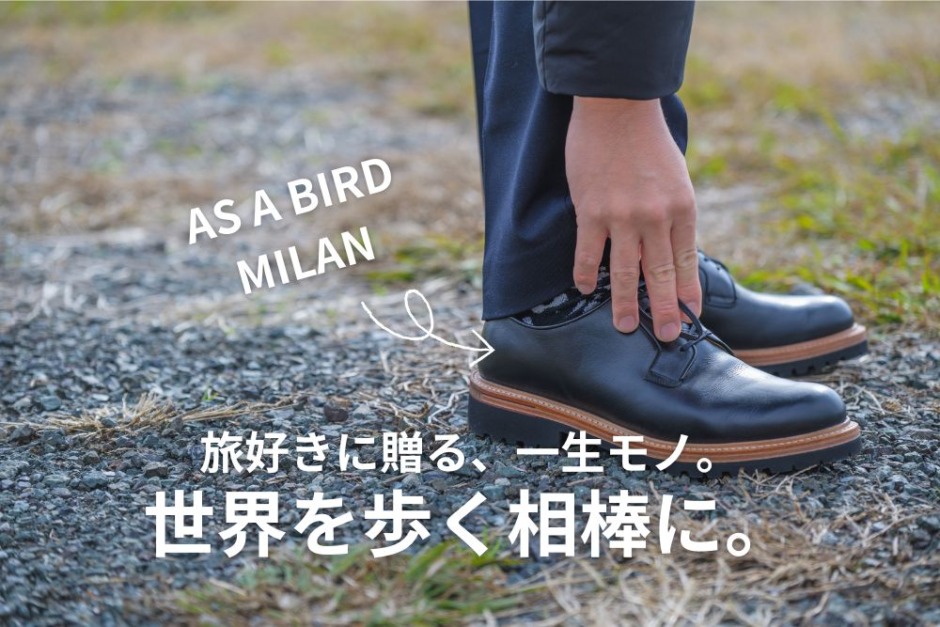 AS A BIRDアイキャッチ