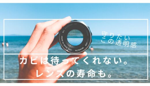 レンズのカビは危険！カメラ防湿庫で湿度50％を死守せよ