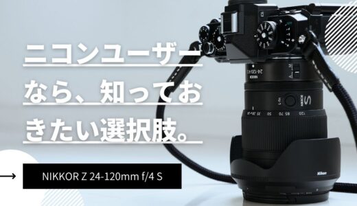 大三元レンズがいらない？ニコン24-120の悪い点とは