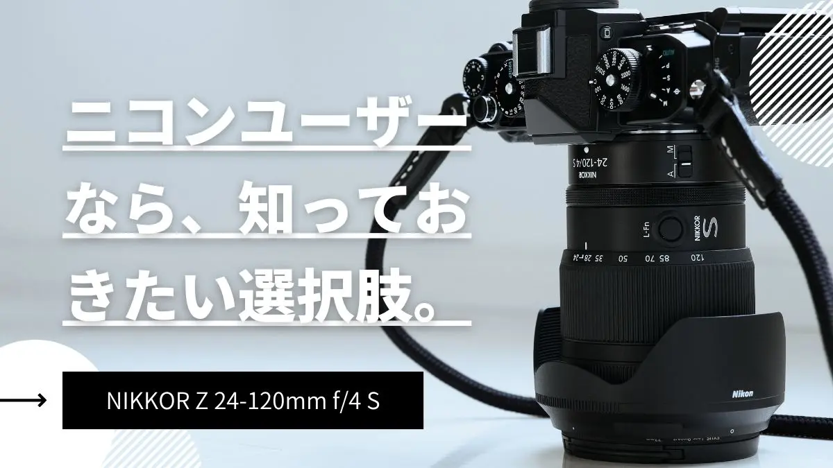 大三元はいらない？NIKKOR Z 24-120mm f/4 Sの悪い点を正直レビュー