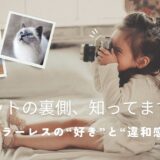 【231記事目】ミラーレスの“好き”と“違和感”